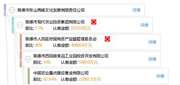 常德市東山秀峰文化發展有限責任公司 以文化為根基，打造常德軟件開發新標桿